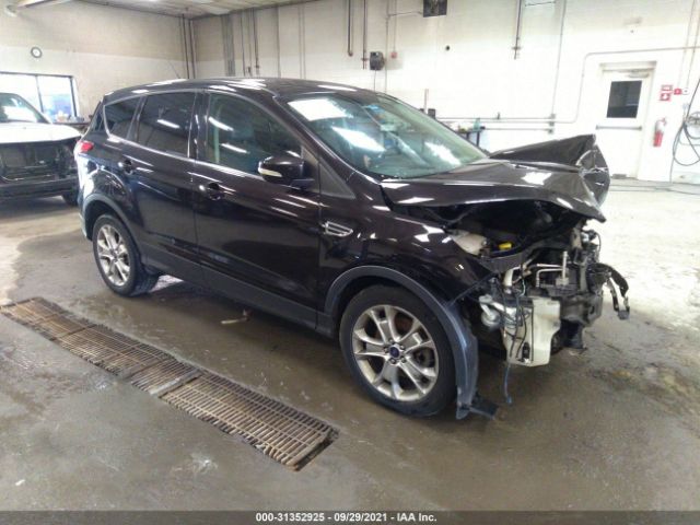2013 ford escape