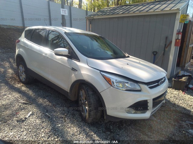 2013 ford escape