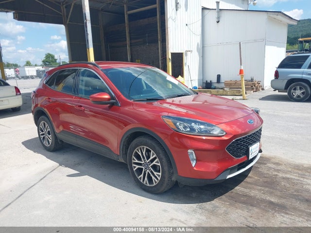 2019 ford escape