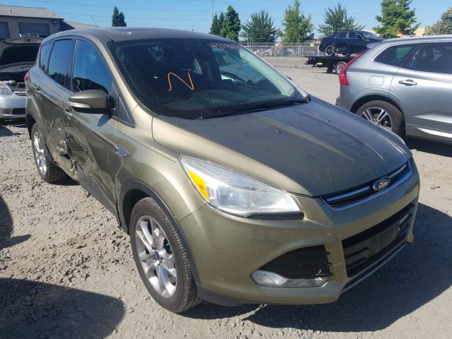 2013 ford escape sel