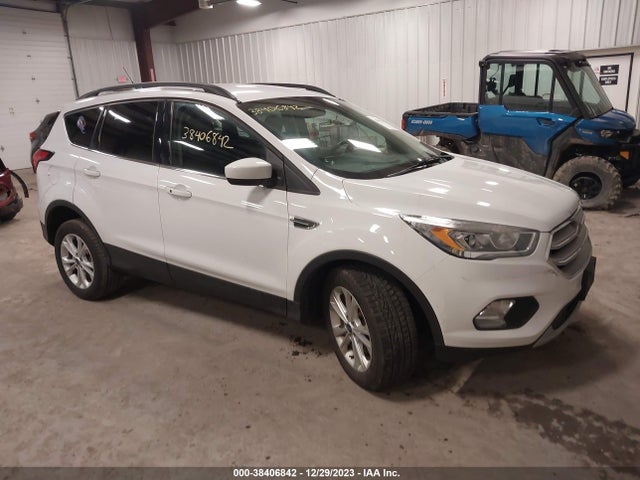 2019 ford escape