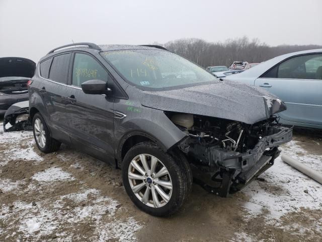 2019 ford escape sel