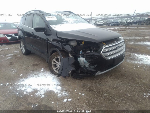 2019 ford escape