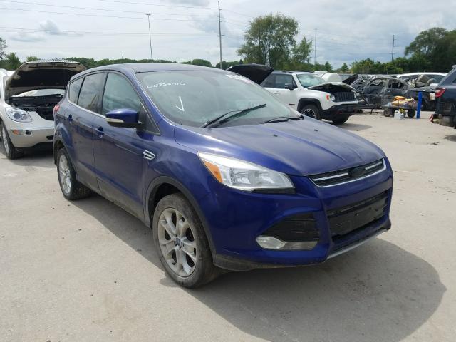 2013 ford escape sel
