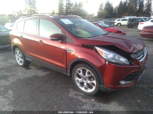 2014 ford escape