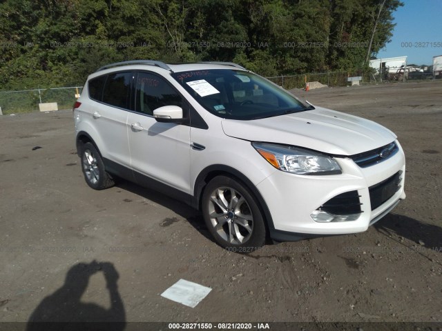 2014 ford escape
