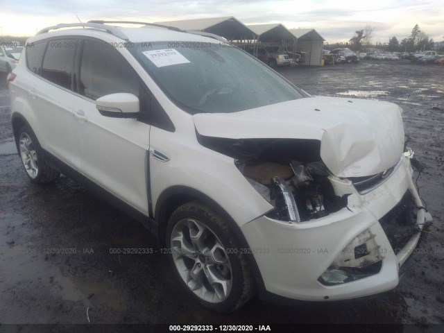 2014 ford escape