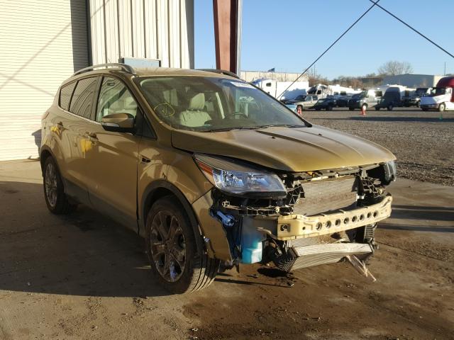 2014 ford escape tit