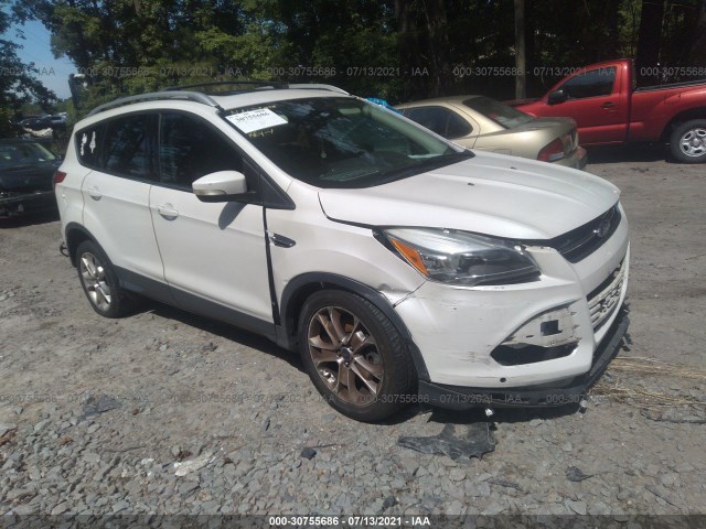 2014 ford escape