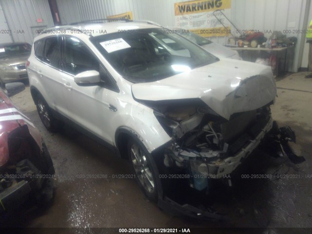2014 ford escape