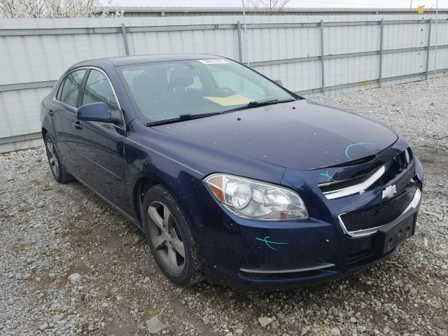 2010 chevrolet malibu 1lt