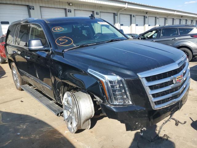 2019 cadillac escalade