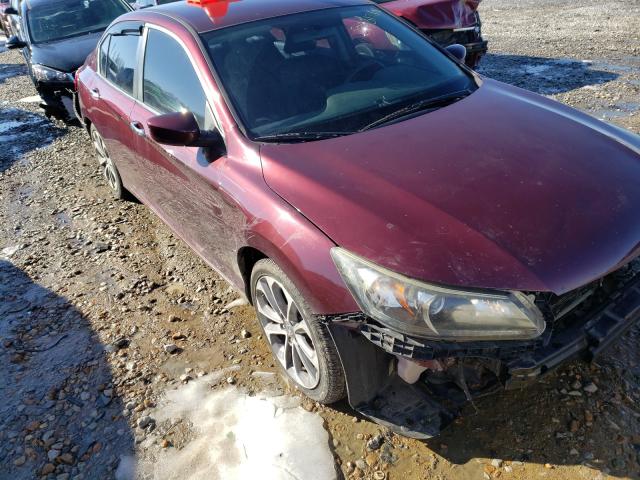 2013 honda accord spo