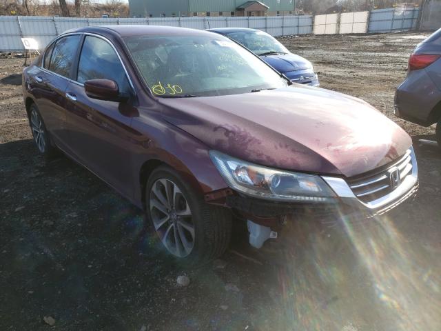 2013 honda accord spo