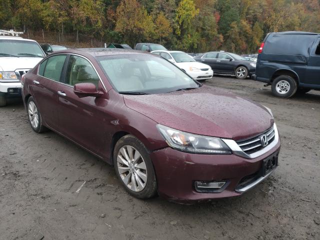 2013 honda accord exl