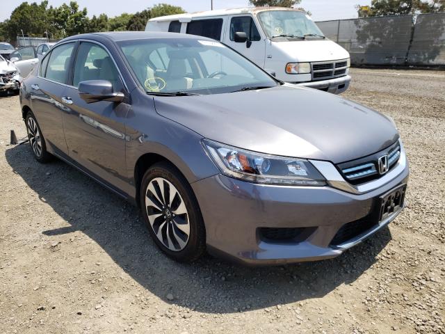 2013 honda accord hyb