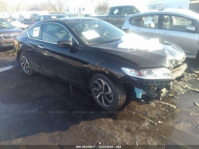 2017 honda accord coupe