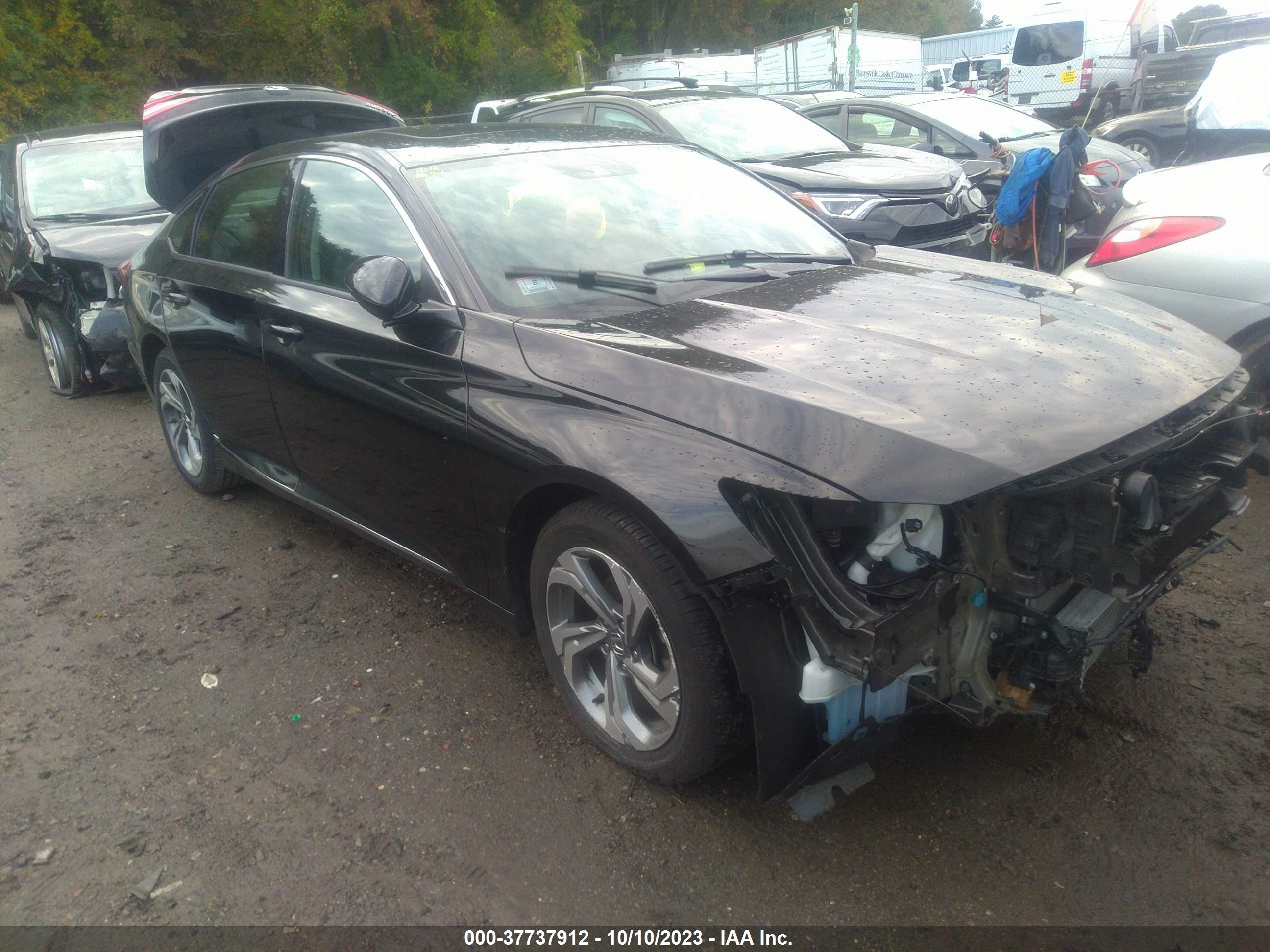 2019 honda accord