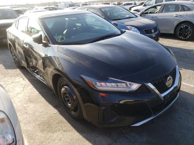 2019 nissan maxima