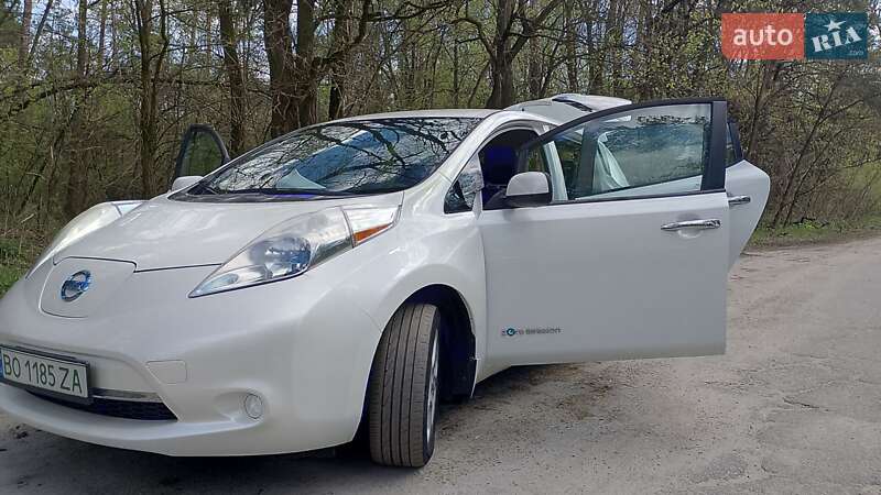 2013 nissan leaf