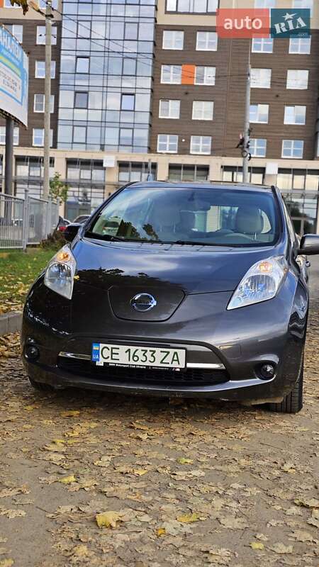 2013 nissan leaf