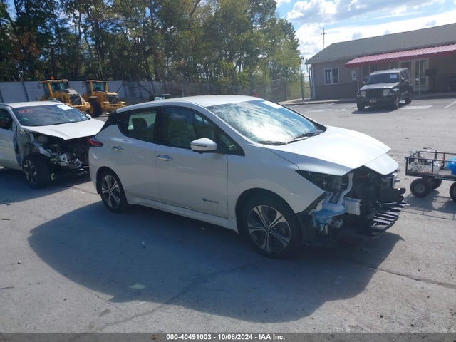 2019 nissan leaf