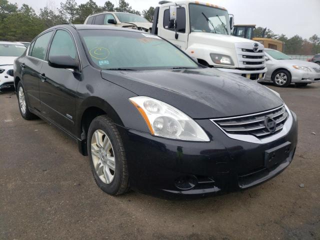 2010 nissan altima hyb