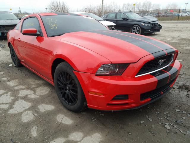 2014 ford mustang