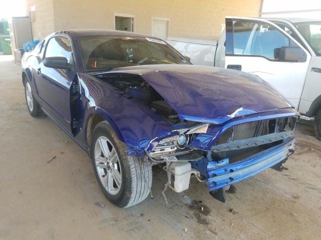 2013 ford mustang