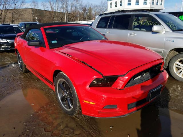 2014 ford mustang
