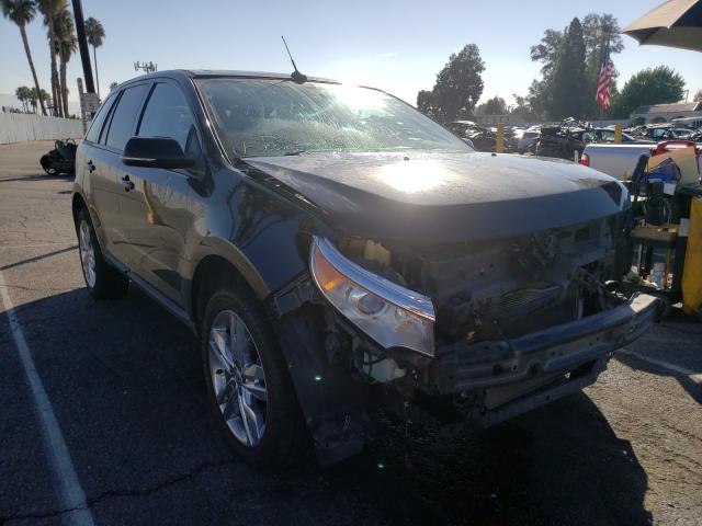 2013 ford edge sel
