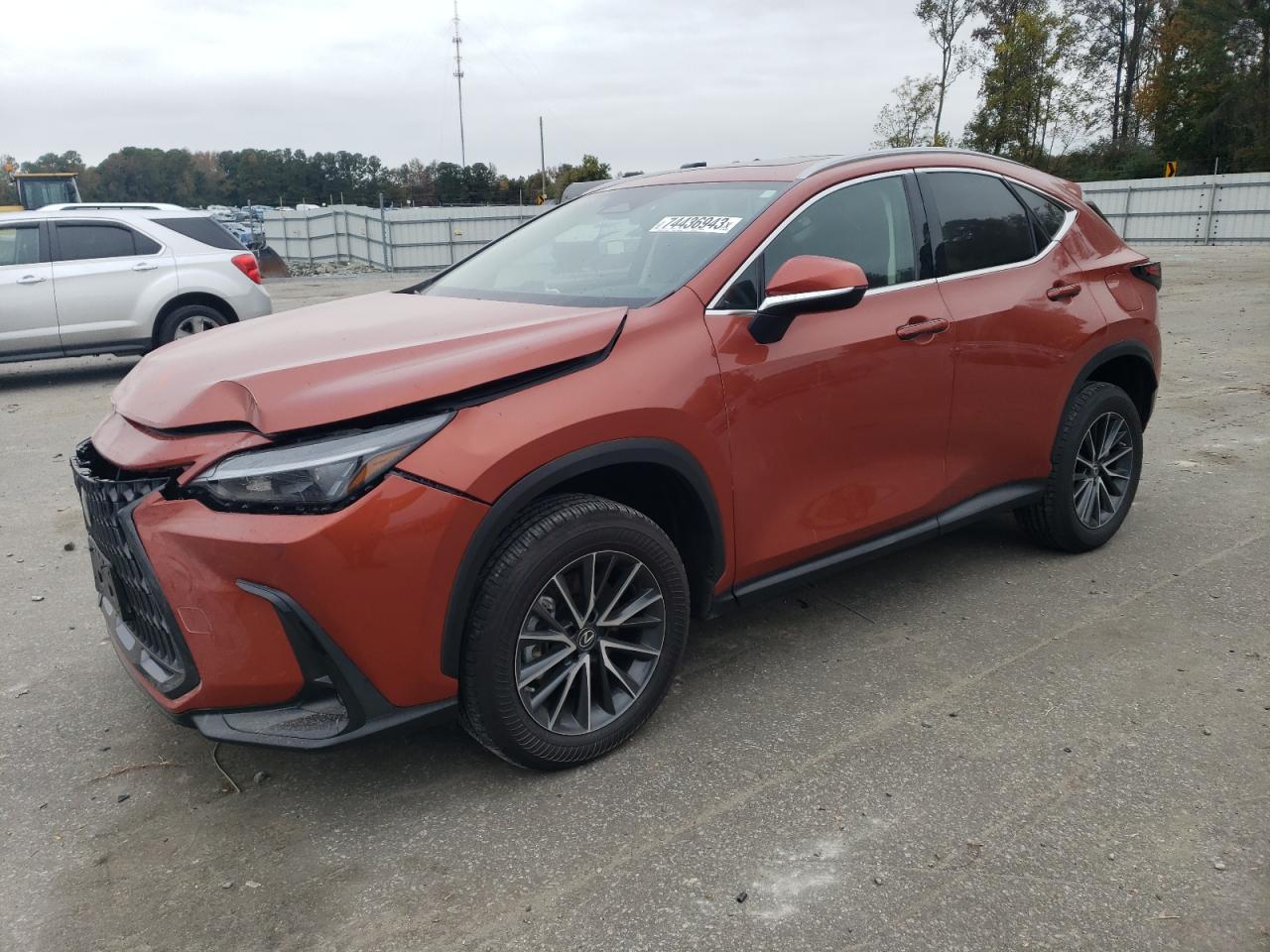 2023 lexus nx