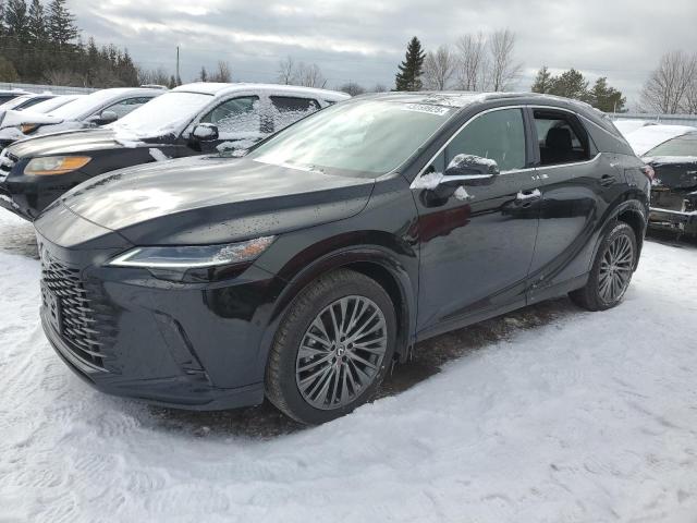 2024 LEXUS RX