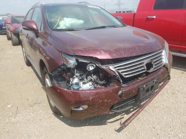 2013 LEXUS RX