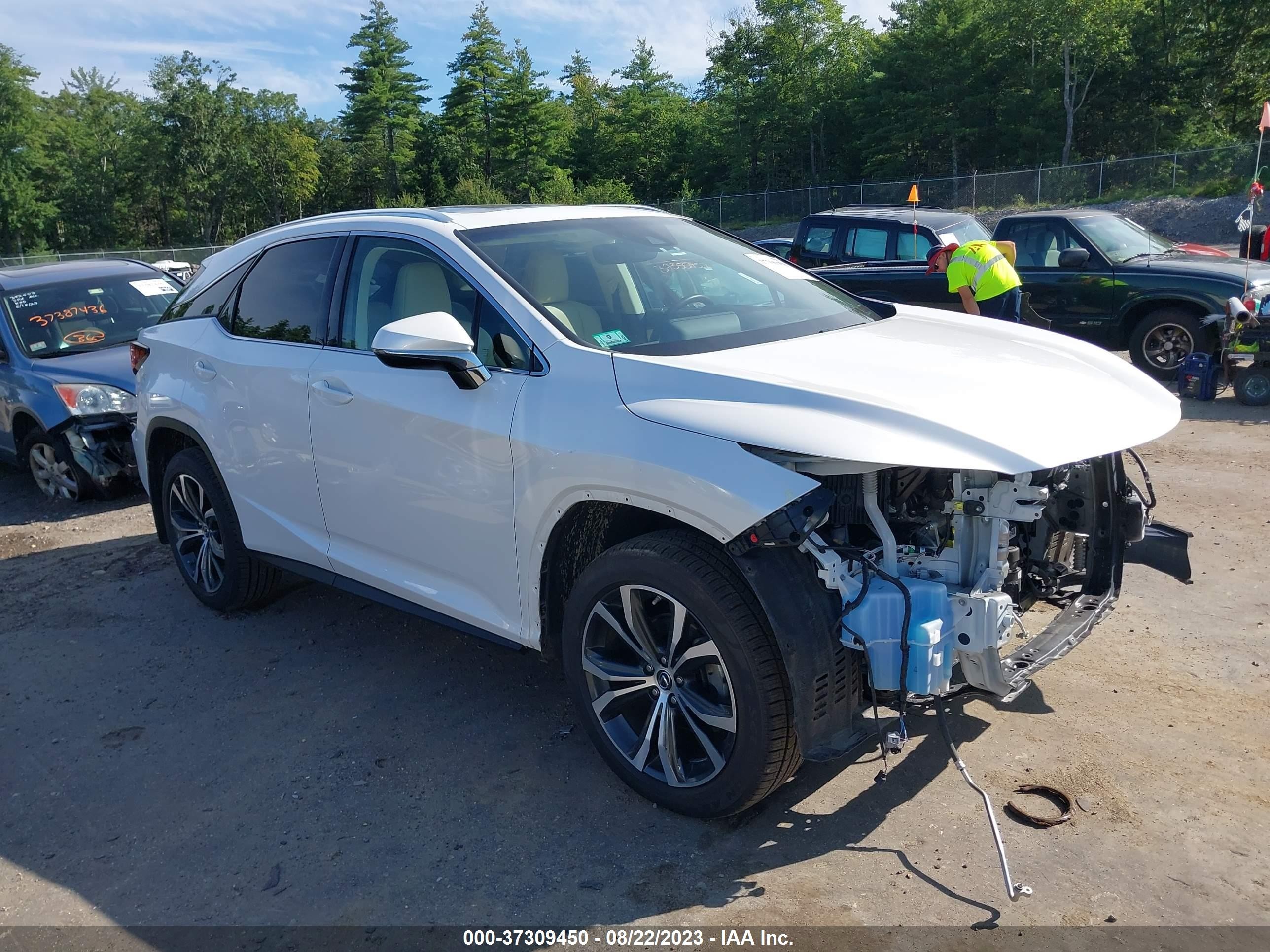 2019 lexus rx 350