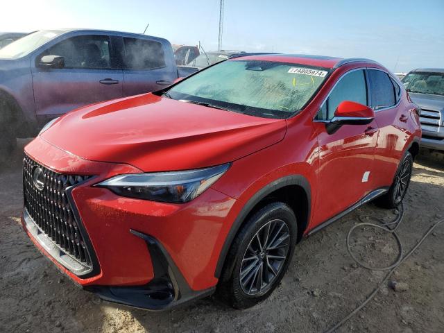 2024 LEXUS NX