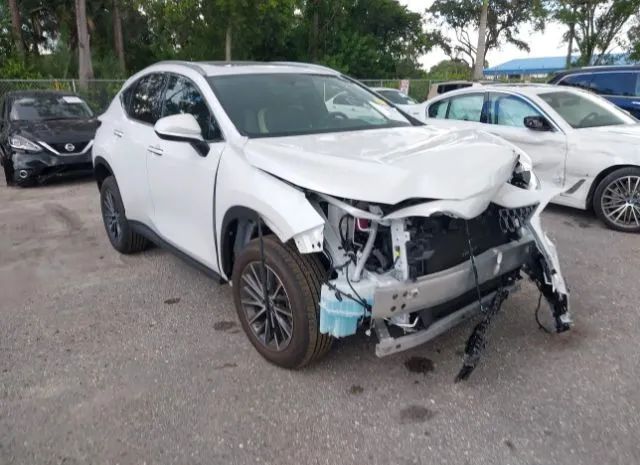 2022 lexus nx