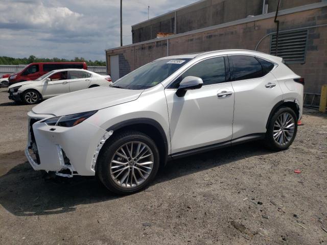 2023 lexus nx 350 lux