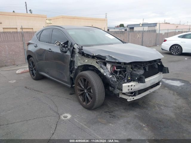 2024 LEXUS NX