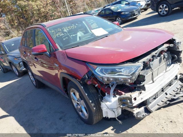 2019 toyota rav4
