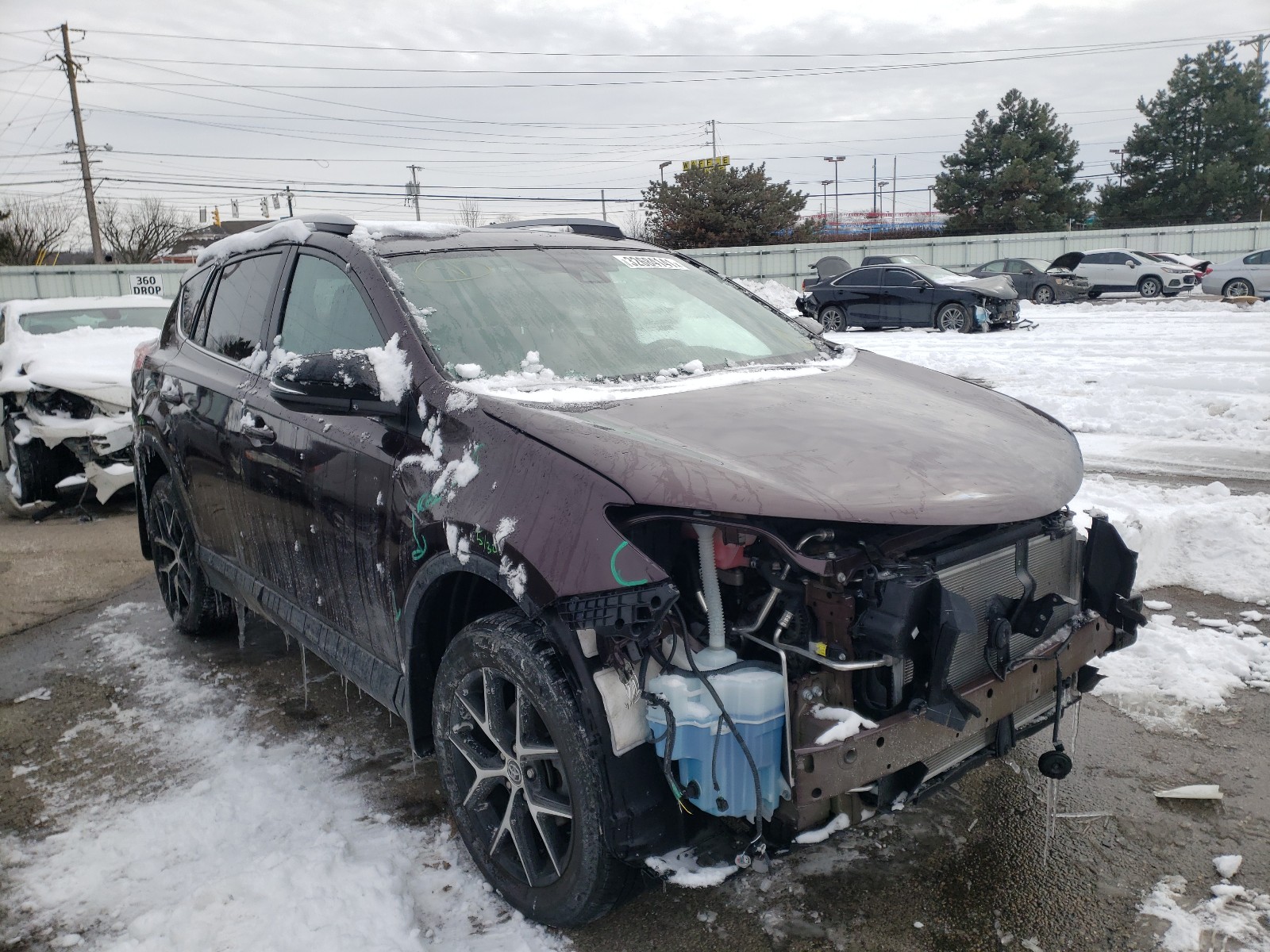 2017 toyota rav4 se