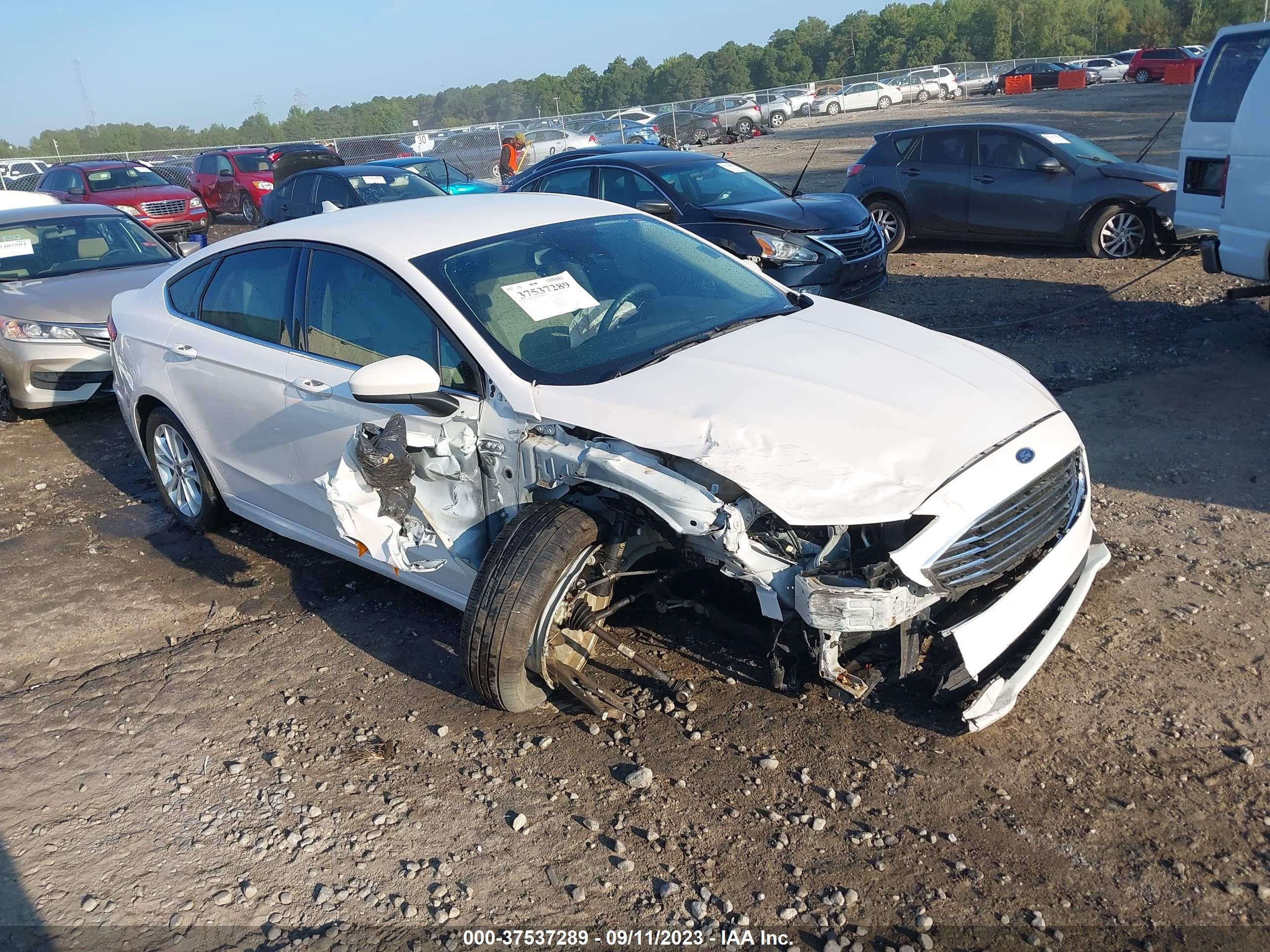 2019 ford fusion