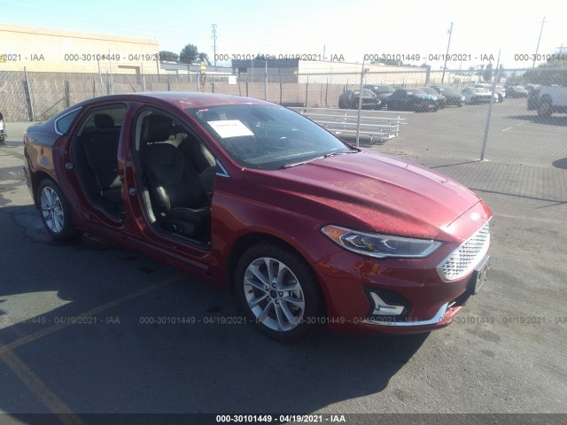 2019 ford fusion energi