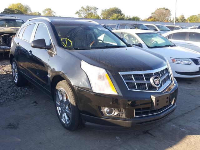 2010 cadillac srx perfor