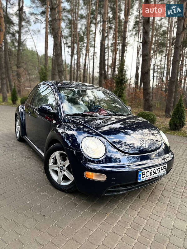 2002 VOLKSWAGEN Beetle