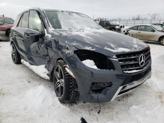 2013 mercedes-benz ml 350 blu
