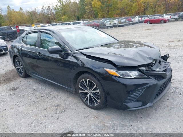 2019 toyota camry