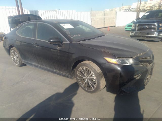 2019 toyota camry