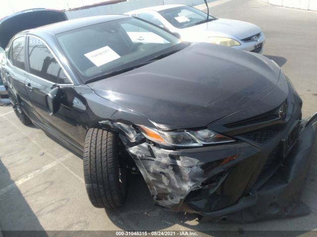2019 toyota camry
