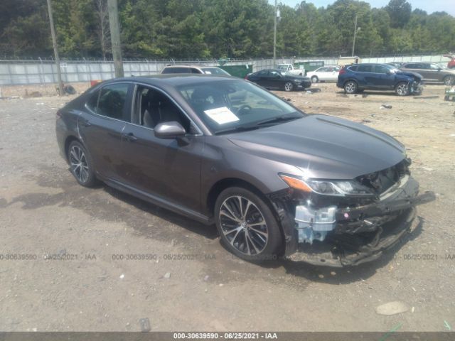 2019 toyota camry
